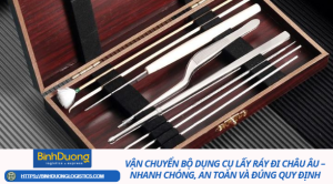 Vận Chuyển Bộ Dụng Cụ Lấy Ráy Đi Châu Âu – Nhanh Chóng, An Toàn Và Đúng Quy Định