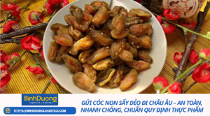 Gửi Cóc Non Sấy Dẻo Đi Châu Âu – An Toàn, Nhanh Chóng, Chuẩn Quy Định Thực Phẩm