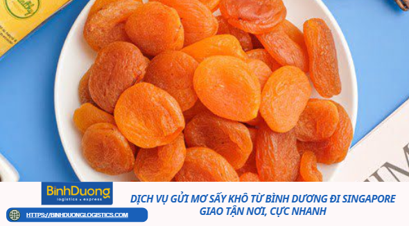 Dịch vụ gửi mơ sấy khô từ Bình Dương đi Singapore giao tận nơi, cực nhanh