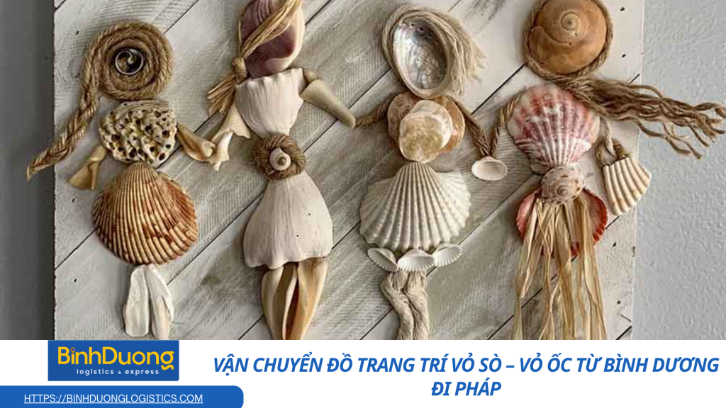 Vận chuyển đồ trang trí vỏ sò – vỏ ốc đi Pháp