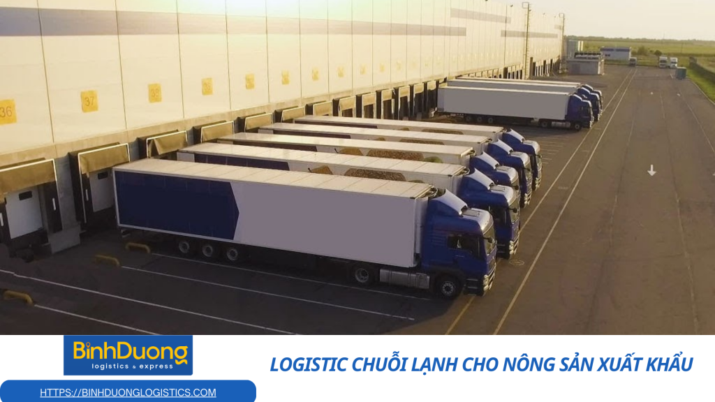Logistic chuỗi lạnh cho nông sản xuất khẩu