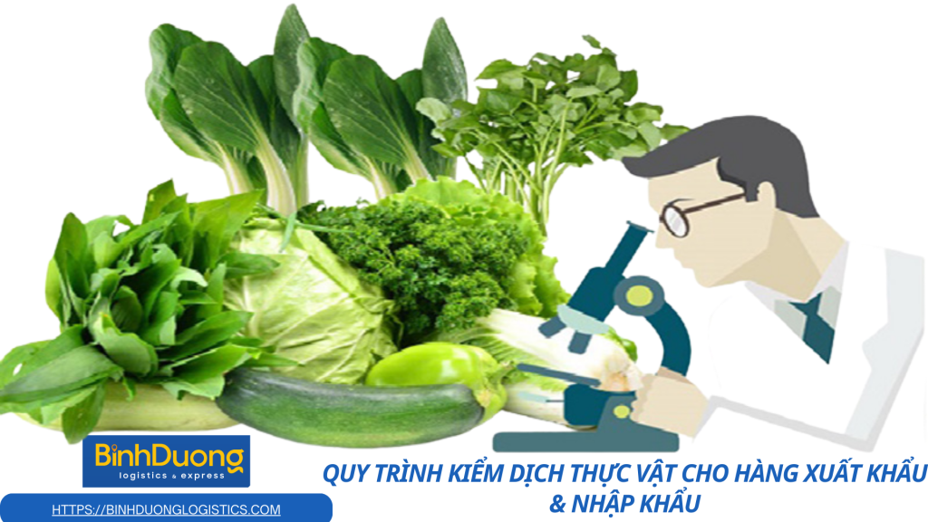 Quy trình kiểm dịch thực vật cho hàng xuất khẩu & nhập khẩu