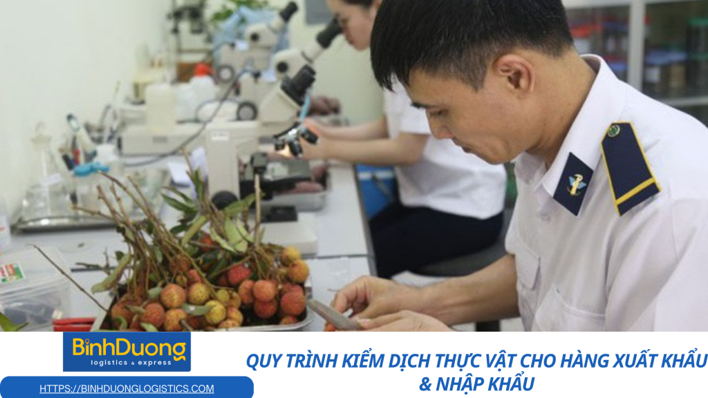 Quy trình kiểm dịch thực vật cho hàng xuất khẩu & nhập khẩu