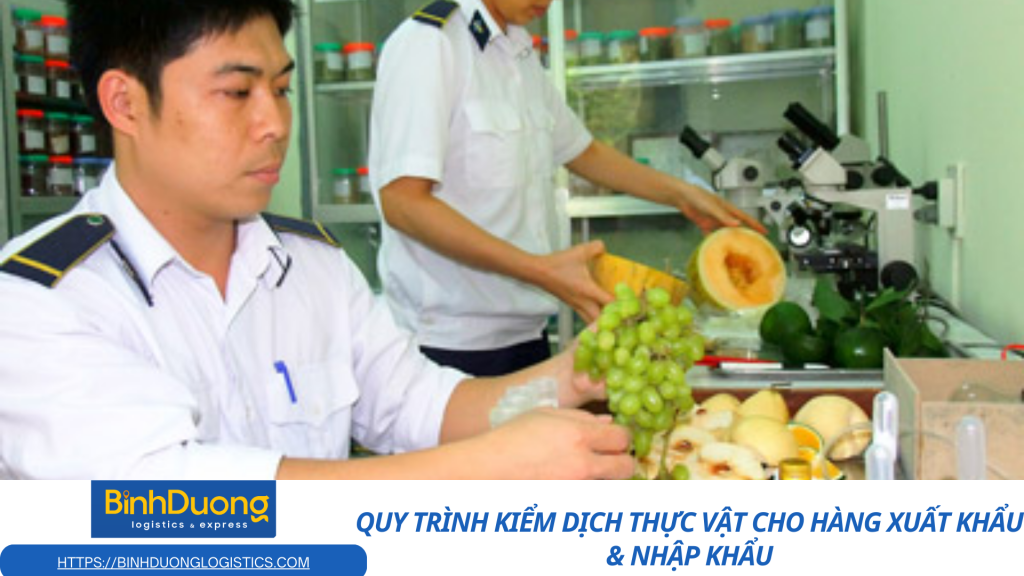 Quy trình kiểm dịch thực vật cho hàng xuất khẩu & nhập khẩu