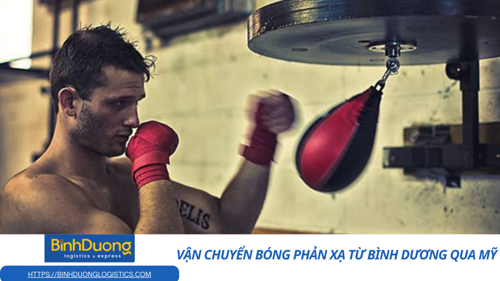 Vận chuyển bóng phản xạ từ Bình Dương qua Mỹ