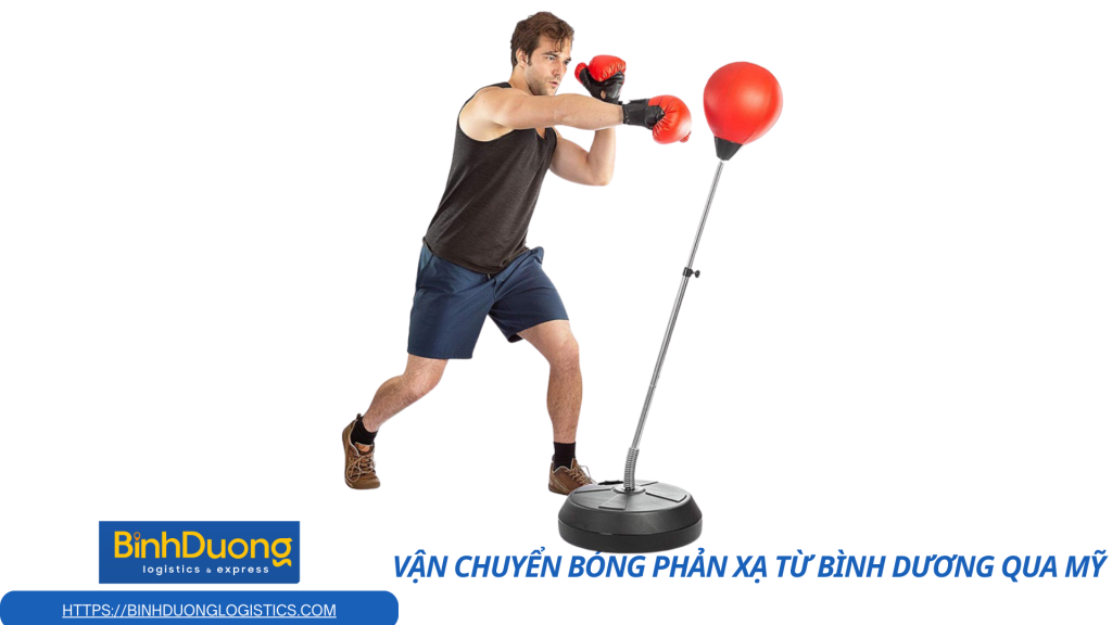 Vận chuyển bóng phản xạ từ Bình Dương qua Mỹ