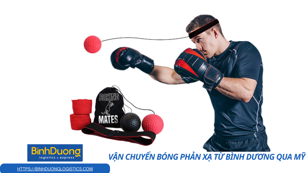Vận chuyển bóng phản xạ từ Bình Dương qua Mỹ