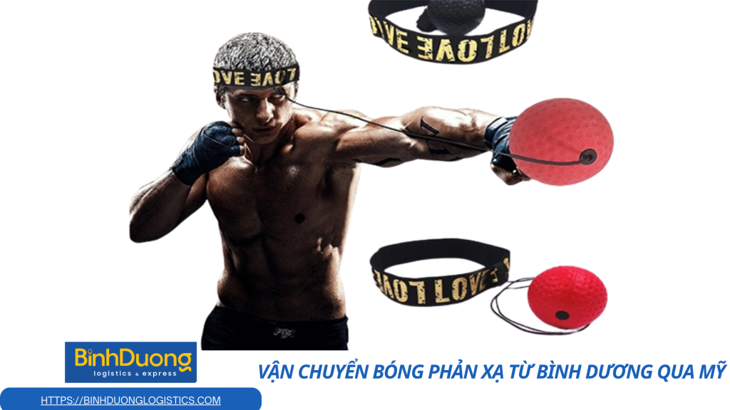 Vận chuyển bóng phản xạ từ Bình Dương qua Mỹ