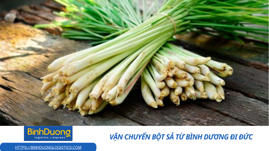 Hành trình hương sả Việt vươn xa châu Âu – Dịch vụ vận chuyển bột sả từ Bình Dương đi Đức an toàn, chuẩn mực