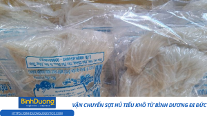 Hành Trình Đưa Sợi Hủ Tiếu Khô Bình Dương Vươn Tới Gian Bếp Đức – Kết Nối Hương Vị Quê Nhà Qua Biên Giới