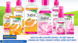 Dịch vụ vận chuyển Soffell từ Việt Nam đi Canada an toàn, nhanh chóng, đúng quy định