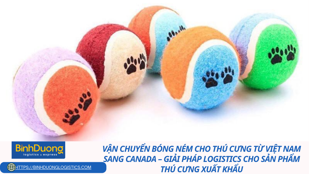 Vận chuyển bóng ném cho thú cưng từ Việt Nam sang Canada – Giải pháp logistics cho sản phẩm thú cưng xuất khẩu