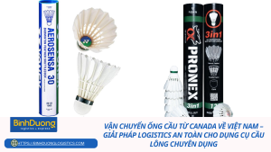 Vận chuyển ống cầu từ Canada về Việt Nam – Giải pháp logistics an toàn cho dụng cụ cầu lông chuyên dụng