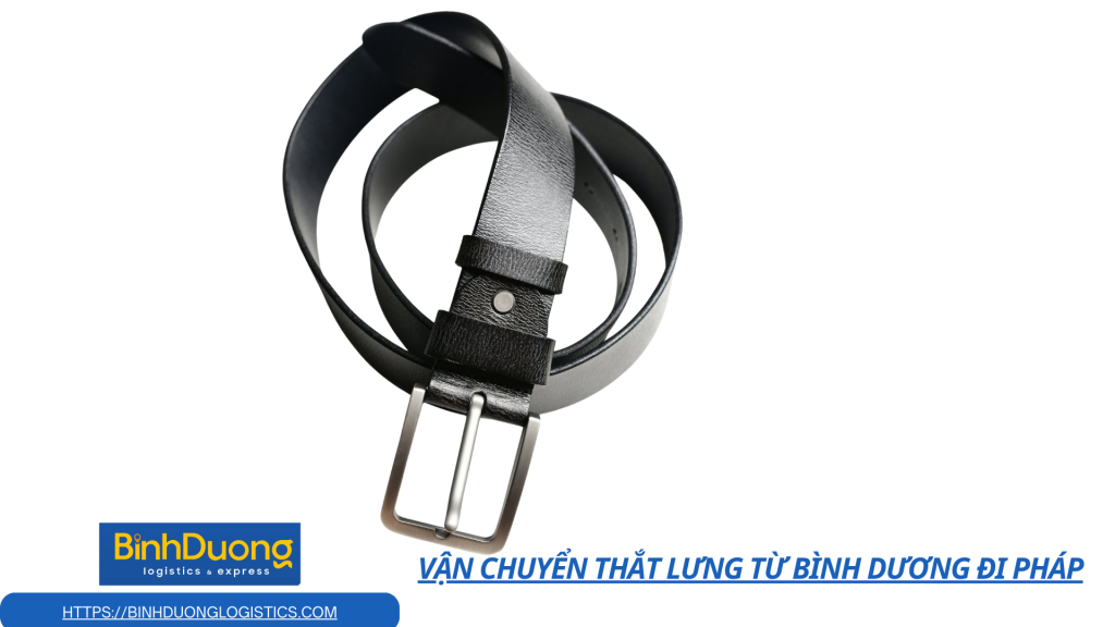 Vận chuyển Thắt lưng từ Bình Dương đi Pháp