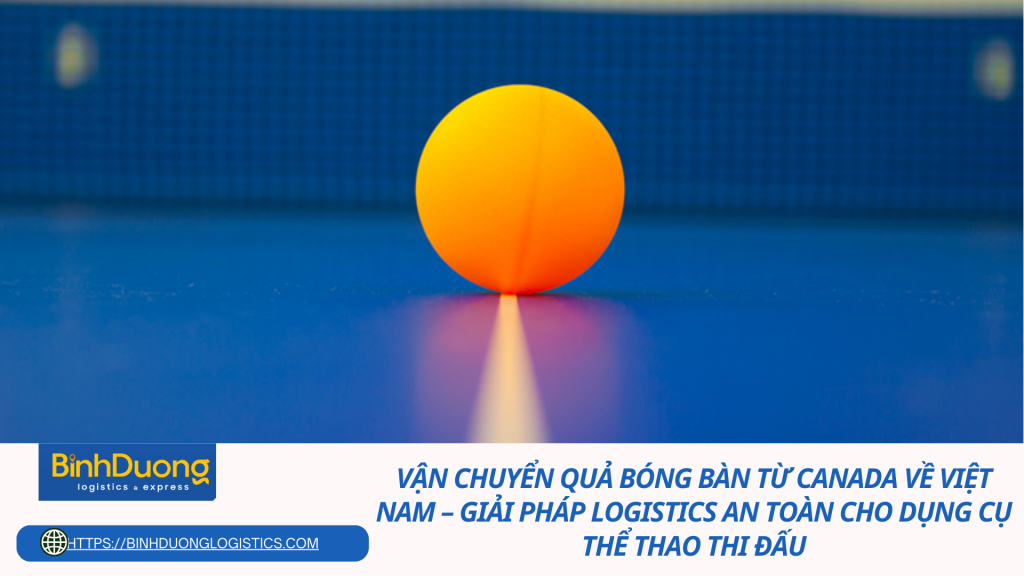 Vận chuyển quả bóng bàn từ Canada về Việt Nam – Giải pháp logistics an toàn cho dụng cụ thể thao thi đấu