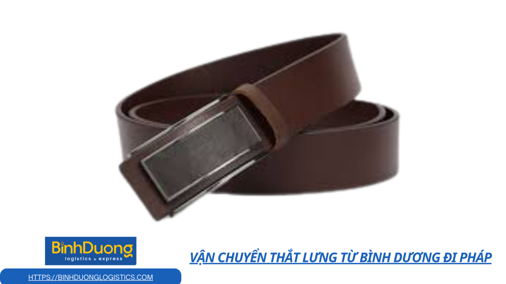 Vận chuyển Thắt lưng từ Bình Dương đi Pháp