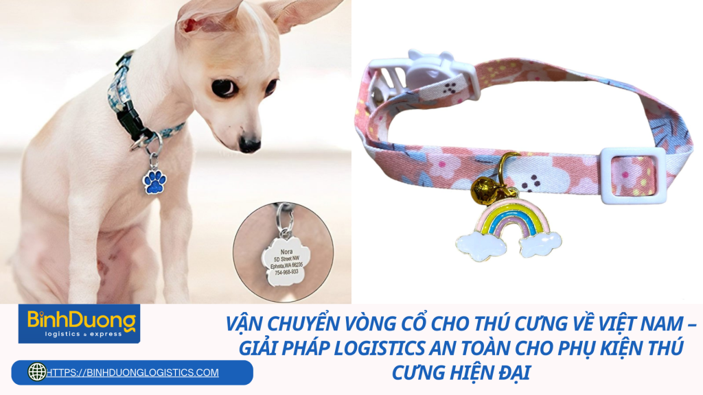Vận chuyển vòng cổ cho thú cưng về Việt Nam – Giải pháp logistics an toàn cho phụ kiện thú cưng hiện đại