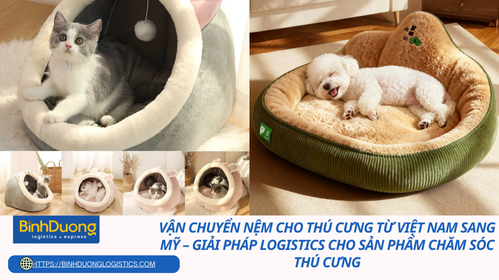 Vận chuyển nệm cho thú cưng từ Việt Nam sang Mỹ – Giải pháp logistics cho sản phẩm chăm sóc thú cưng