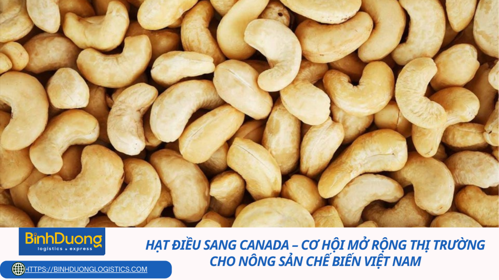 Hạt điều sang Canada – Cơ hội mở rộng thị trường cho nông sản chế biến Việt Nam