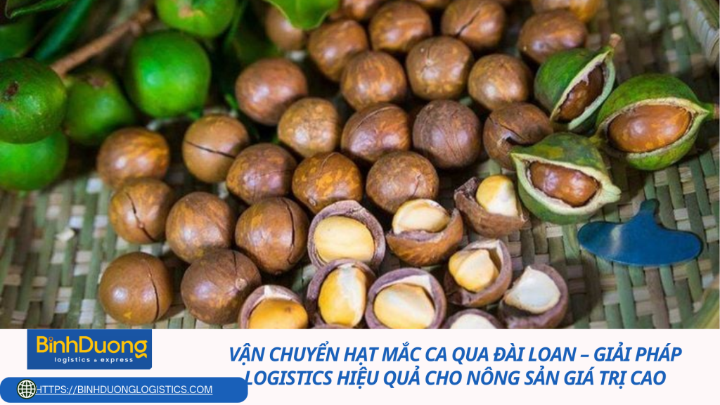 Vận chuyển hạt mắc ca qua Đài Loan – Giải pháp logistics hiệu quả cho nông sản giá trị cao
