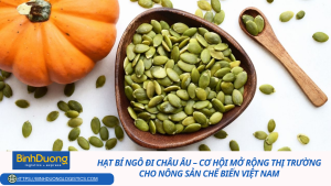 Hạt bí ngô đi châu Âu – Cơ hội mở rộng thị trường cho nông sản chế biến Việt Nam