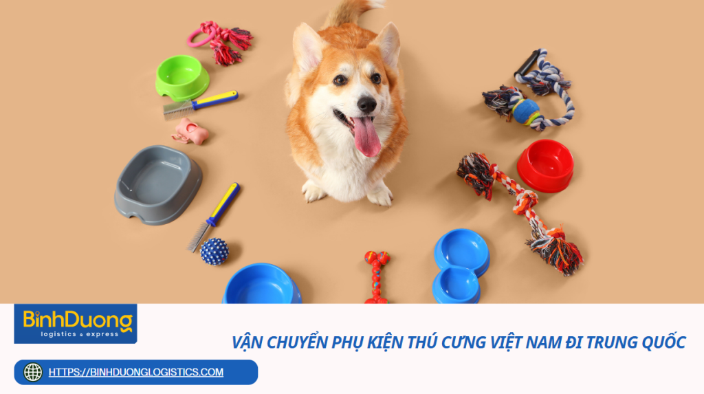 Vận chuyển phụ kiện thú cưng Việt Nam đi Trung Quốc