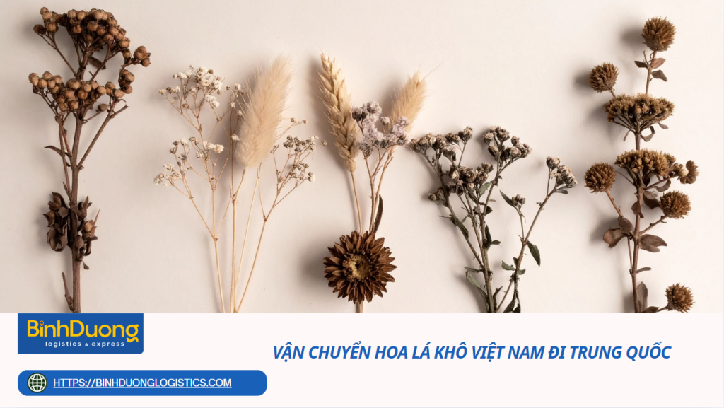 xuất khẩu hoa khô, lá khô trang trí sang Trung Quốc