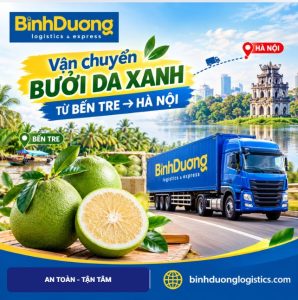 Vận chuyển bưởi Da xanh từ Bến Tre đi Hà Nội