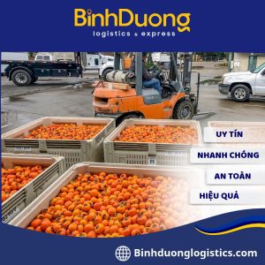 Vận chuyển hồng Đà Lạt từ Lâm Đồng đi Bình Dương