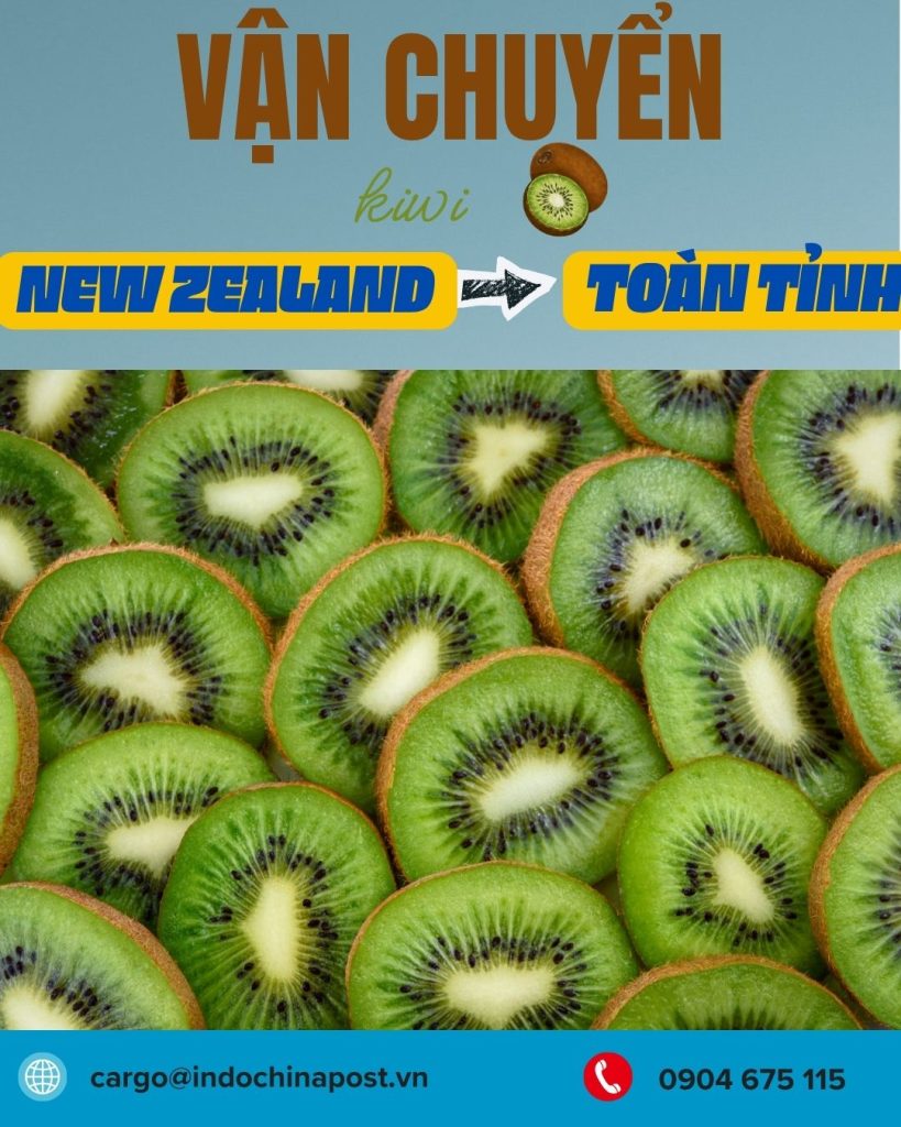 Nhập khẩu Kiwi từ New Zealand bằng container lạnh và phân phối cả nước