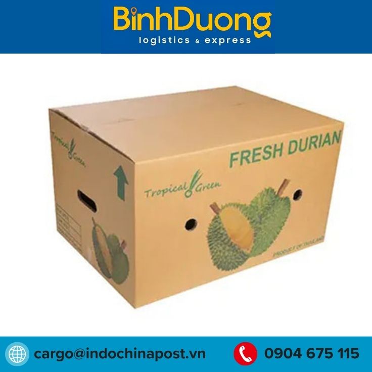Vận chuyển sầu riêng tươi xuất khẩu sang Úc bằng đường biển