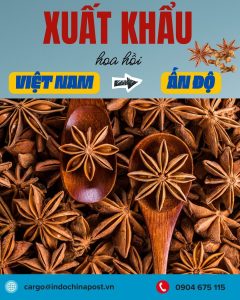 Xuất khẩu hoa hồi Việt Nam sang thị trường Ấn Độ