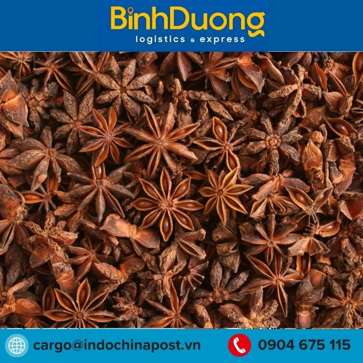 Xuất khẩu hoa hồi Việt Nam sang thị trường Ấn Độ