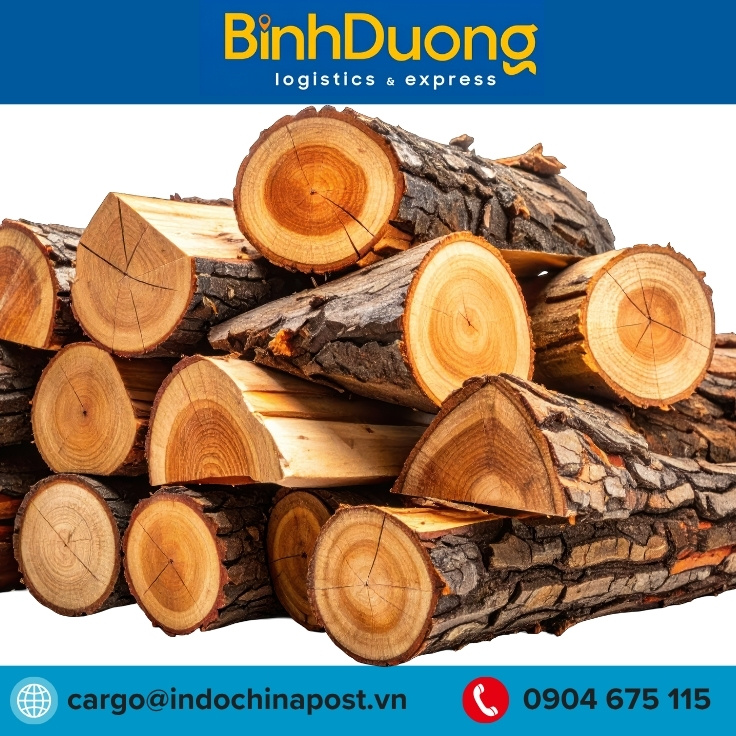 Gỗ nguyên liệu nhập khẩu từ cảng Cát Lái về Bình Dương