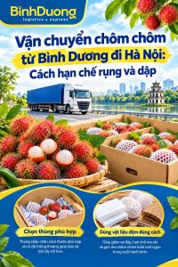Vận chuyển chôm chôm từ Bình Dương đi Hà Nội: Cách hạn chế rụng và dập