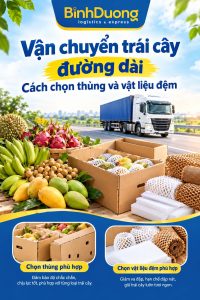 Vận chuyển trái cây đường dài: Cách chọn thùng và vật liệu đệm
