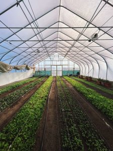 Vận chuyển phân bón, vật tư nông nghiệp đóng bao từ Bình Dương đi các tỉnh và vùng sản xuất